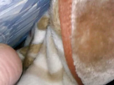 Възбудени minipornobg хора се забавляват